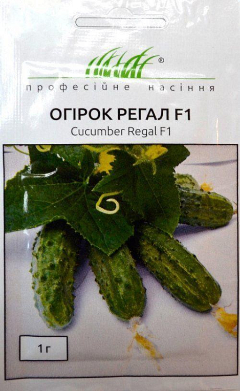 Огірок "Регал F1" ТМ "Hem Zaden" 1г