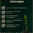 Олеандр запашний "Nerium oleander Framboise" (вічнозелений, ароматний чагарник) купить