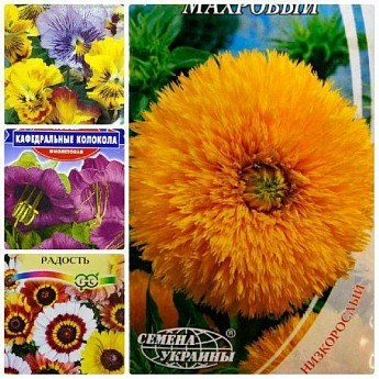 Комплект семян цветов "Палитра" 5уп