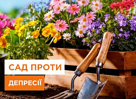 Рослини-антидепресанти, які варто посадити на дачі - корисні статті про садівництво від Agro-Market