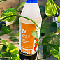 Липкий укорінювач нового покоління LIPKOR "Проти хруща" (Ліпкор) ТМ "AGRO-X" 1л цена