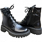 Женские ботинки зимние Amir DSO06 36 23см Черные