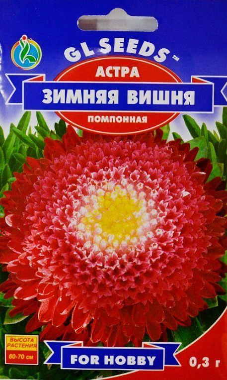 Астра "Зимняя Вишня" ТМ "GL SEEDS" 0.3г
