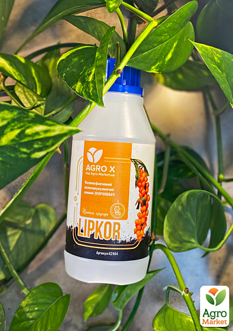 Липкий укорінювач нового покоління LIPKOR "Проти хруща" (Ліпкор) ТМ "AGRO-X" 300мл - фото 3