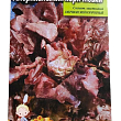 Салат листовий "Американський коричневий" ТМ "Весна" 0.5г купить