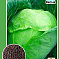 Капуста ранньостиглий "Копенгаген маркет" ТМ "Весна" 0.5г