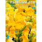 Львиный зев желтый ТМ "Весна" 0.1г купить