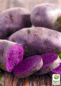 Картофель "Экзотик" семенной ранний темно-фиолетовый эксклюзив (1 репродукция) 1кг NEW2