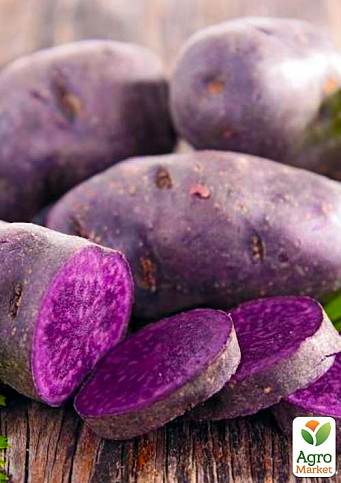 Картофель "Экзотик" семенной ранний темно-фиолетовый эксклюзив (1 репродукция) 1кг NEW