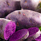 Картофель "Экзотик" семенной ранний темно-фиолетовый эксклюзив (1 репродукция) 1кг NEW