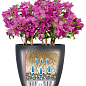 Розумний вазон з автополивом Lechuzа Classico Color 35, білий (13210) цена