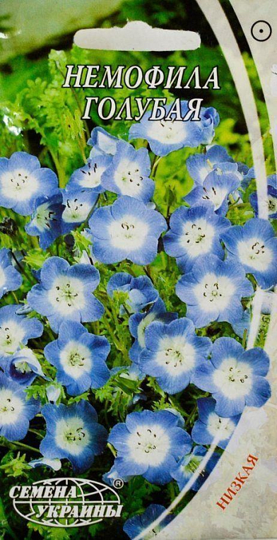 Немофила "Голубая" ТМ "Семена Украины" 0.5г