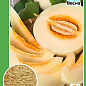 Дыня "Сладкоежка" (Новый пакет) ТМ "Весна" 1.5г