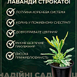 Лаванда Гібридна Sentivia "Blue Scent" купить