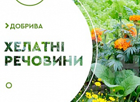 Хелатні добрива - корисні статті про садівництво від Agro-Market