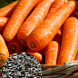 На развес Морковь "Медовянка" ТМ "Весна" цена за 10г