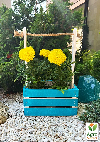 Ящик декоративный деревянный для хранения и цветов "Бланш" д. 25см, ш. 17см, в. 13см, высота с ручкой 40см. (синий с деревянными ручками) - фото 4