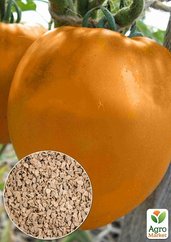 На развес Томат "Анна герман" ТМ "Весна" цена за 1г