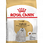 Royal Canin Maltese Adult Сухой корм для взрослых собак породы Мальтийская болонка  500 г (7821800)