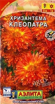 Хризантема "Клеопатра" ТМ "АЭЛИТА" 0.05г12