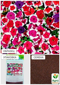 Петуния "Пиккоти смесь" (Зипер) ТМ "Весна" 1г17