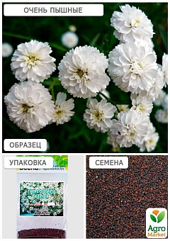Гипсофила белая (Зипер) ТМ "Весна" 1г29