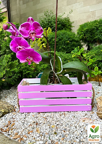 Ящик декоративний дерев'яний для зберігання та квітів "Жиральдо" д. 44см, ш. 17см, ст. 17см. (ліловий з ручками) - фото 4