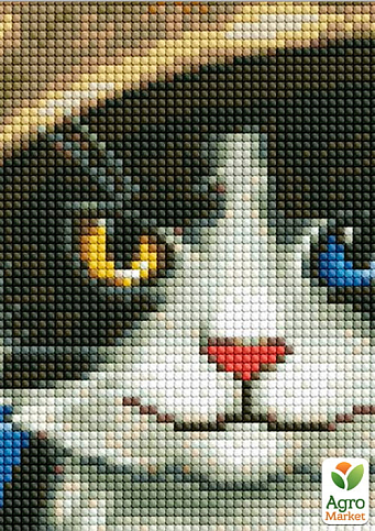 Алмазна мозаїка - Войовничий котик Ідейка AMO7591 - фото 2