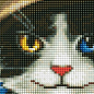 Алмазна мозаїка - Войовничий котик Ідейка AMO7591 купить