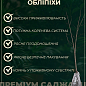 Облепиха 2-летняя "Лебедь" укорененная в контейнере (мальчик-опылитель) купить