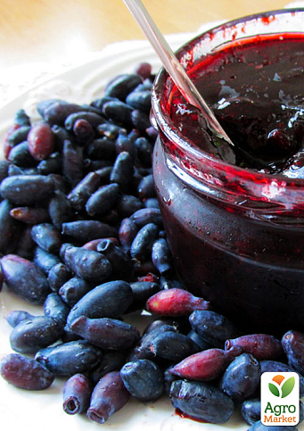 Эксклюзив! Жимолость сочного синего цвета "Топ" (Top) (премиальный, высокоурожайный, зимостойкий сорт) - фото 7