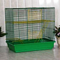 СТ Щурик Максі Клітка для середніх гризунів, 47 х 28 х 45 см (2329943)