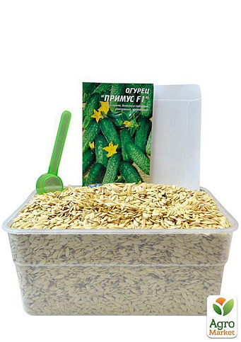 На вагу Огірок "Примус" ТМ "Весна" ціна за 2г - фото 3