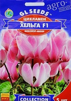 Цикламен "Хельга F1" ТМ "GL Seeds" 5шт15