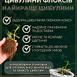 Флокс многолетний "Laura" 1шт в упаковке цена