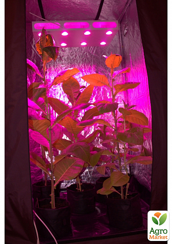 Гроубокс для рослин 120x120x200 з фітолампою "Гагарин 4" 558 Вт та автоматикою (7007) - фото 2