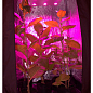 Гроубокс для рослин 120x120x200 з фітолампою "Гагарин 4" 558 Вт та автоматикою (7007) купить