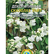 Квасоля декоративна "Скелелаз Уайт" ТМ "Плазмові насіння" 3шт