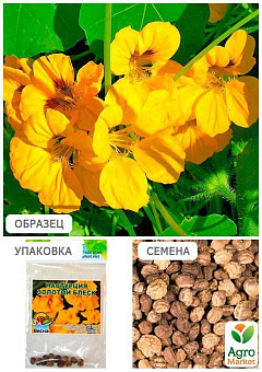 Настурція "Золотий блиск" (Зипер) ТМ "Весна" 2г27