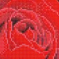 Алмазная мозаика - Красная роза  Идейка AMO7634 купить