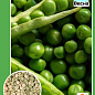 Горох "Альфа" ТМ "Весна" 10г