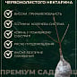 Нектарин колоновидный краснолистный "Бургунди"