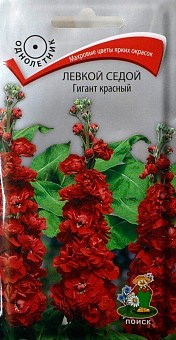 Левкой седой "Гигант красный" ТМ "Поиск" 0.1г12