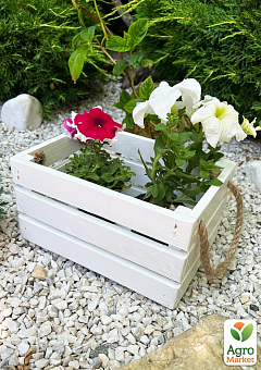 Ящик дерев'яний для зберігання декору та квітів "Бланш" довжина 25см, ширина 17см, висота 13см. (білий із ручками)1