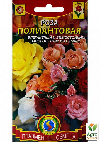 Роза полиантовая ТМ "Плазменные семена" 10шт