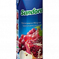 Нектар виноградно-яблучно-гранатовий ТМ "Sandora" 0,95 л упаковка 10шт купить
