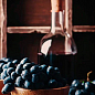 Виноград "Руслан" (очень ранний срок созревания, кисть формируется без горошения) купить