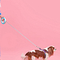 Поводок-рулетка для собак WAUDOG R-leash, круглая, XS-M, до 40 кг, 2,9 м, светоотражающая розовая лента (81277)