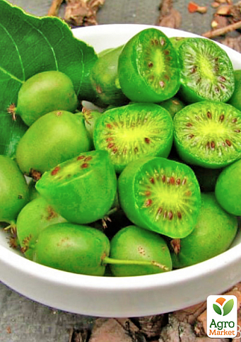 Актинидия "Вити Киви" самоопыляемый! (мини-киви, самоплодный сорт, средний срок созревания)  - фото 7