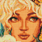 Алмазна мозаїка - Дівчина з метеликами з голограмними стразами (АВ) Ідейка AMO7597 купить